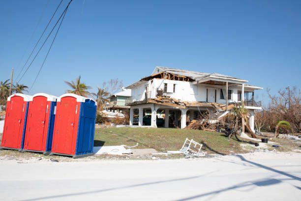 How Our Tree Care Process Works  in  Cedar Grove, WI